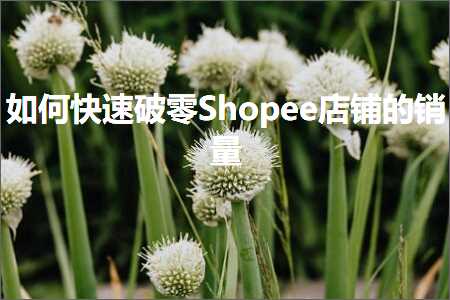 跨境电商知识:如何快速破零Shopee店铺的销量